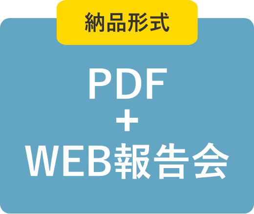 納品形式PDF+WEB報告会